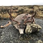Profile Picture of Cesar Pinedo (@208outdoorsandmore) on Instagram