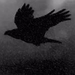 Profile Picture of Katharine Parsons (@ravenshoemedia) on Instagram