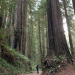 Profile Picture of Hussey (@patrick_hussey_jr) on Instagram