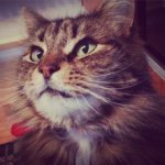 Profile Picture of Monty Matthews (@montysmewsings) on Instagram