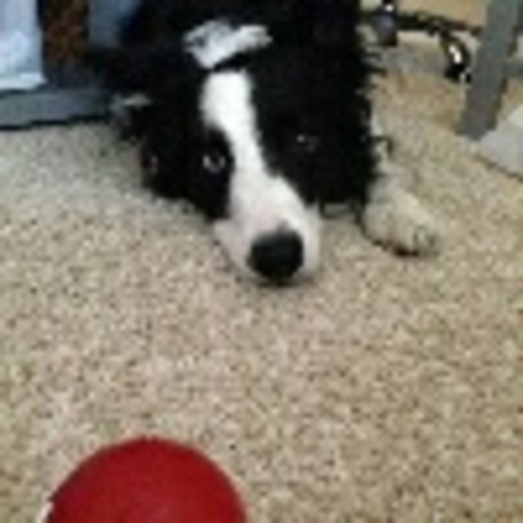 Profile Picture of Ruby Yu (@ruubbyy) on Poshmark