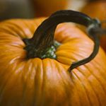 Profile Picture of Nathan Sommer (@nathans1stannualspooptober) on Instagram
