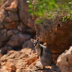 Profile Picture of Henry Brooks (@Henry-Brooks) on Facebook