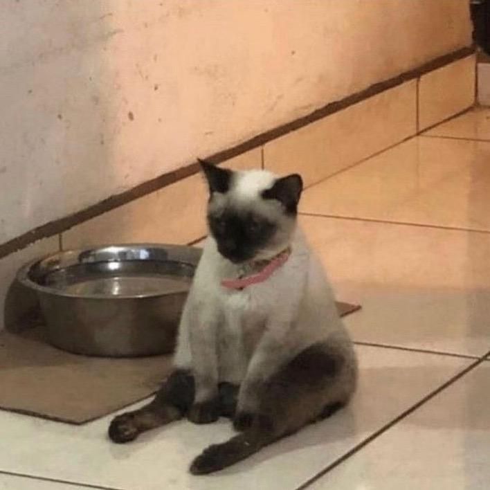 Profile Picture of Jonathan (@bonathanjarrios) on Tiktok