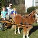 Profile Picture of Justin Carloni (@justincarloni) on Pinterest