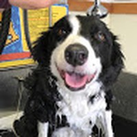 Profile Picture of Carl Schmidtke (@carl-schmidtke) on Quora