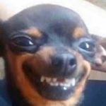 Profile Picture of Lindsay Nguyen (@lindsayy.n) on Instagram