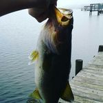 Profile Picture of John Joseph Cocco (@john.cocco) on Instagram