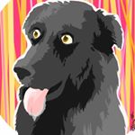 Profile Picture of daniel donoher (@danield2332) on Instagram