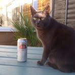 Profile Picture of Jeffrey Higginbottom (@Jeffrey-Higginbottom) on Facebook