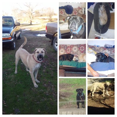 Profile Picture of Dawn Apple (@dawnscruisev6) on Twitter