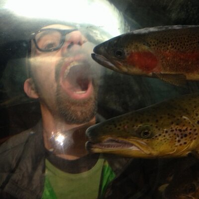 Profile Picture of Kevin Bracy Knight (@bracyknight) on Twitter