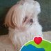 Profile Picture of Teresa Gresham (Earlene) (@Teresa-Gresham) on Facebook