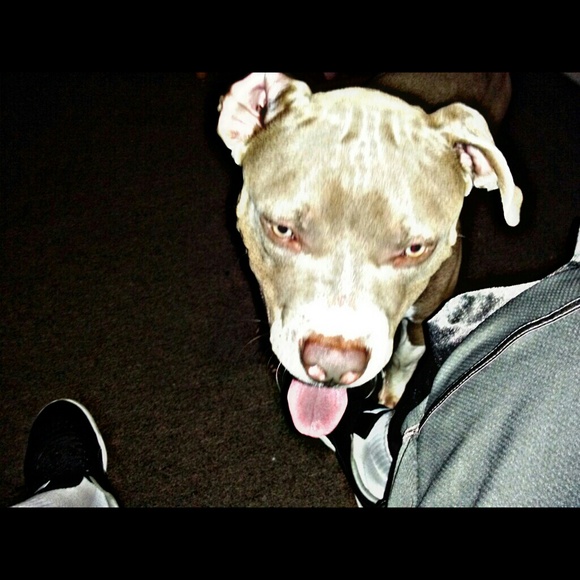 Profile Picture of Ian Silva (@ianjsr23) on Poshmark