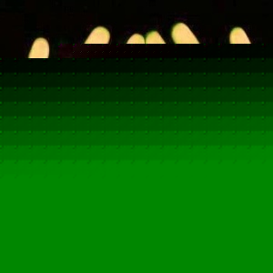 Profile Picture of Luis Vizcarrondo (@105421864) on Myspace