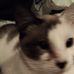Profile Picture of David Boos (@david.boos.1428) on Facebook