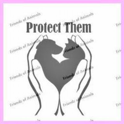 Profile Picture of Yvonne (@yvonforanimals) on Twitter