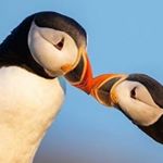 Profile Picture of Sandra Dunlop (@skdun2018) on Instagram