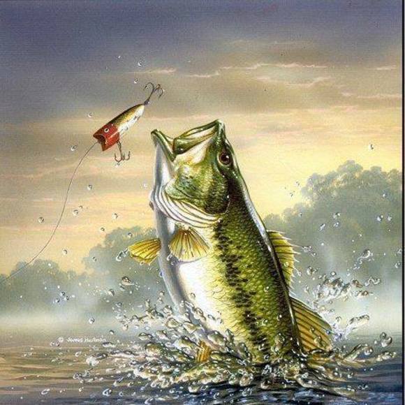 Profile Picture of Cameron Deschambault (@dcw436008) on Poshmark