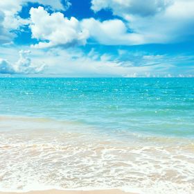 Profile Picture of Stefanie Bryant (@stefaniebryant9) on Pinterest