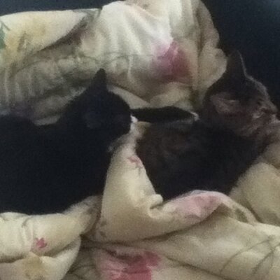 Profile Picture of Douglas Slade Redd (@DMRedd08) on Twitter