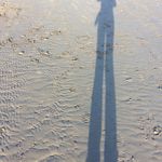 Profile Picture of Claire Sheldon (@claireatthetallhouse) on Instagram