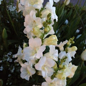 Profile Picture of DEEPA JOSE (@deeptjose) on Youtube