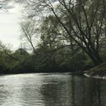 Profile Picture of Corey Torres (@riverrunner101) on Instagram