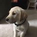 Profile Picture of Chad Larsen (@chad.larsen.319) on Facebook