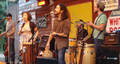 Profile Picture of The Ragbirdson Wikipedia