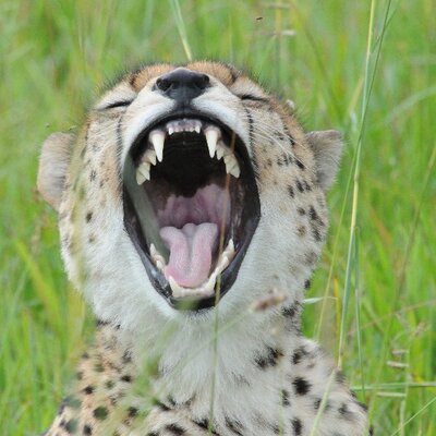 Profile Picture of Robert Gilday (@RobertGilday) on Twitter