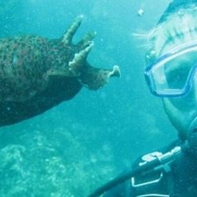 Profile Picture of Kevin Erickson Ph.D. (@KevinPErickson) on Twitter