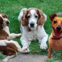 Profile Picture of Rob Paul (@rob-paul-3) on Quora