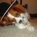 Profile Picture of Beth Brindley Adams (@beth.brindley.56) on Facebook