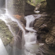 Profile Picture of David Bennett (@davidbennett1121) on Youtube