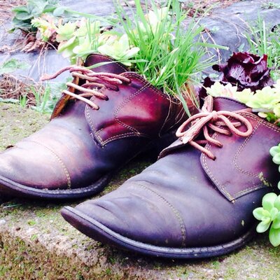 Profile Picture of Thomas M Nilsson (@hasthagen28) on Twitter