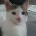 Profile Picture of Sylvester Kent (@sylvester.kent) on Facebook