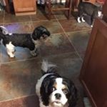 Profile Picture of Elaine Mattson-breitweiser (@elainebreitweiser) on Instagram