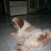 Profile Picture of Patrick Dales (@patrick.dales.75) on Facebook