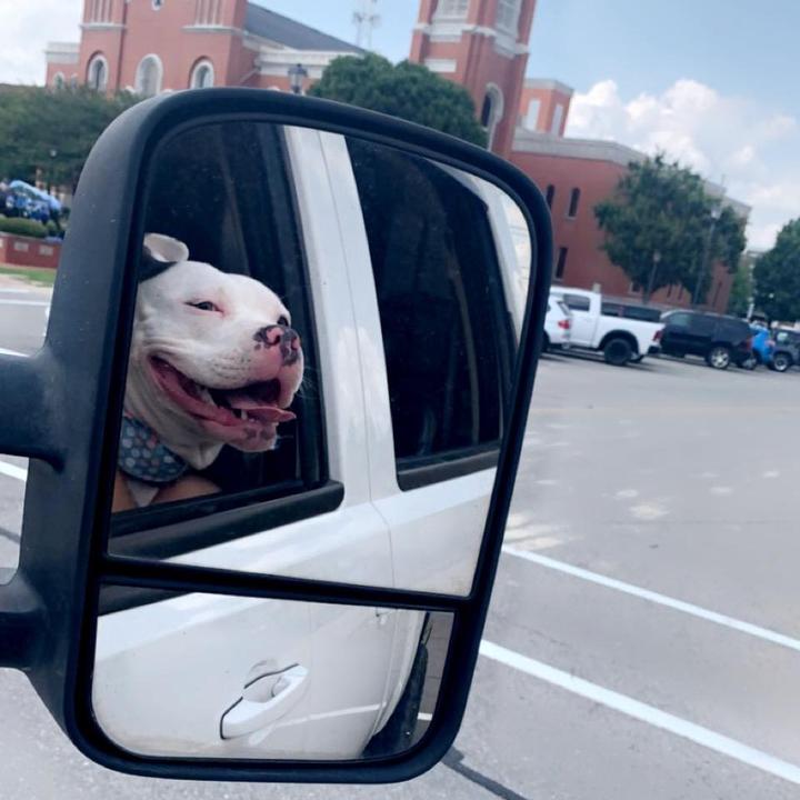 Profile Picture of Sebastian Brown (@sebastianbrown98) on Tiktok