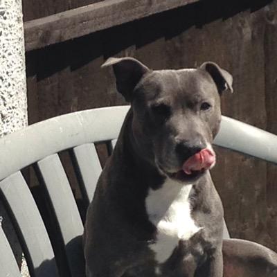 Profile Picture of John Romain (@mainy1960) on Twitter