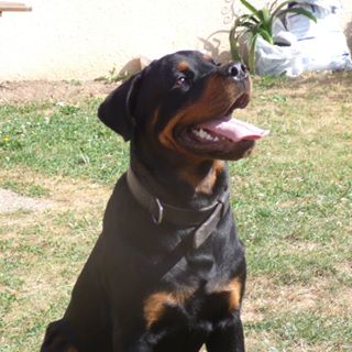 Profile Picture of Nathan Hubert (@Nathan-Hubert) on Facebook