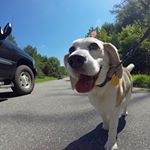 Profile Picture of Lynn Takla (@lynntak) on Instagram