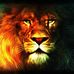Profile Picture of Armando Stallone (@armando.stallone.96) on Facebook