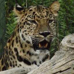 Profile Picture of Steve Sybert (@ssybernet1) on Twitter