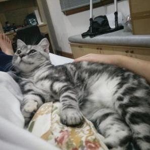 Profile Picture of Darren Cheng (@dar_cheng) on Twitter