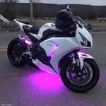 Profile Picture of Luis Miguel Fierros (@luismiguelfierros) on Instagram