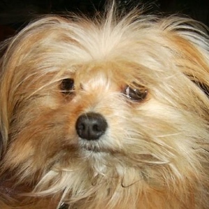 Profile Picture of Vic Arnold (@madrigalin) on Myspace