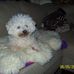 Profile Picture of Bonnie Tibbitts (@Bonnie-Tibbitts) on Facebook