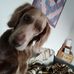 Profile Picture of Andreas Hofecker (@andreas.hofecker.39) on Facebook